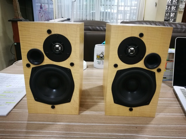 Audio Pro FOCUS SA-2 bookshelf speaker (Used) - Cheap Price  SOLD Img_2010