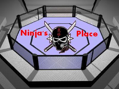 Ninja's Place
