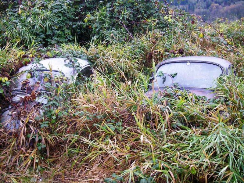 Jamais restaurées Camouf10