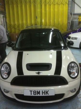 Pepper White Owners Club Tomk10