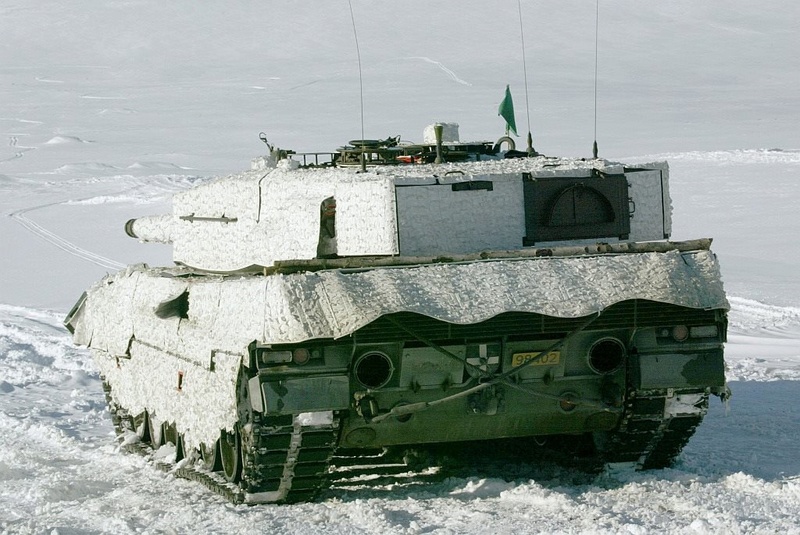 Camouflage reussi ? Camouf15