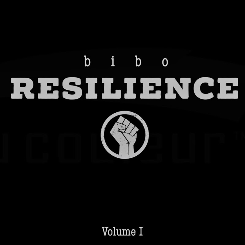Bibo-Resilience_Vol_1-WEB-FR-2018-OND 00-bib10