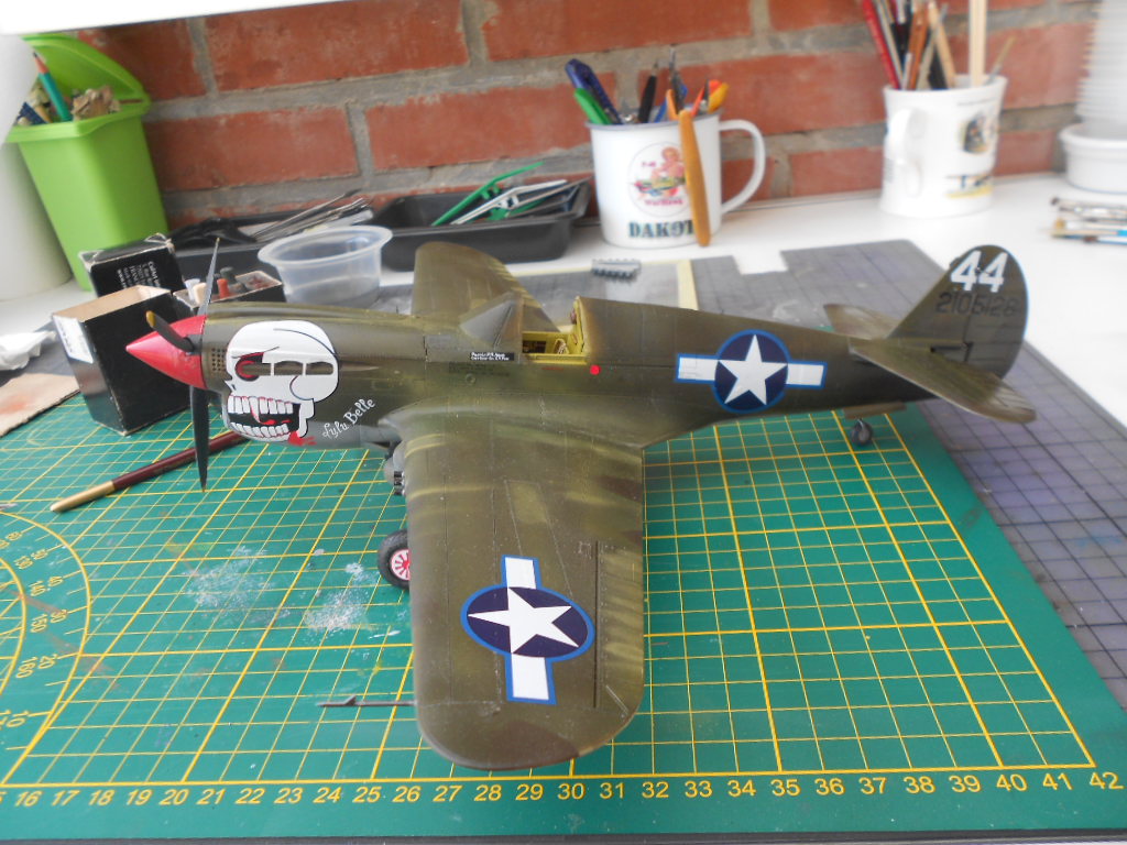 p 40 n warhawk 1/32 edouard   - Page 2 P40_bi25