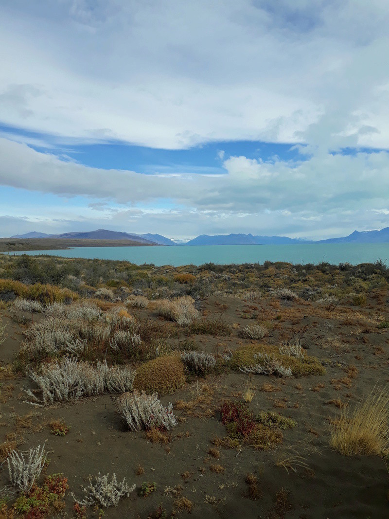 Viaje por la Patagonia Argentina y Chilena 20180353