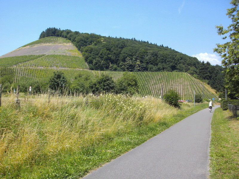 Ruwer-Hochwald Radweg (Hermeskeil-Trier, ligne 3131) 13a_ru10