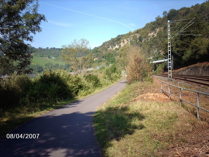 Mosel Radweg  (=D5, Perl-Konz-Koblenz) 3_nitt10