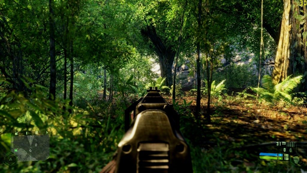 Favourite pictures - Page 10 Crysis17