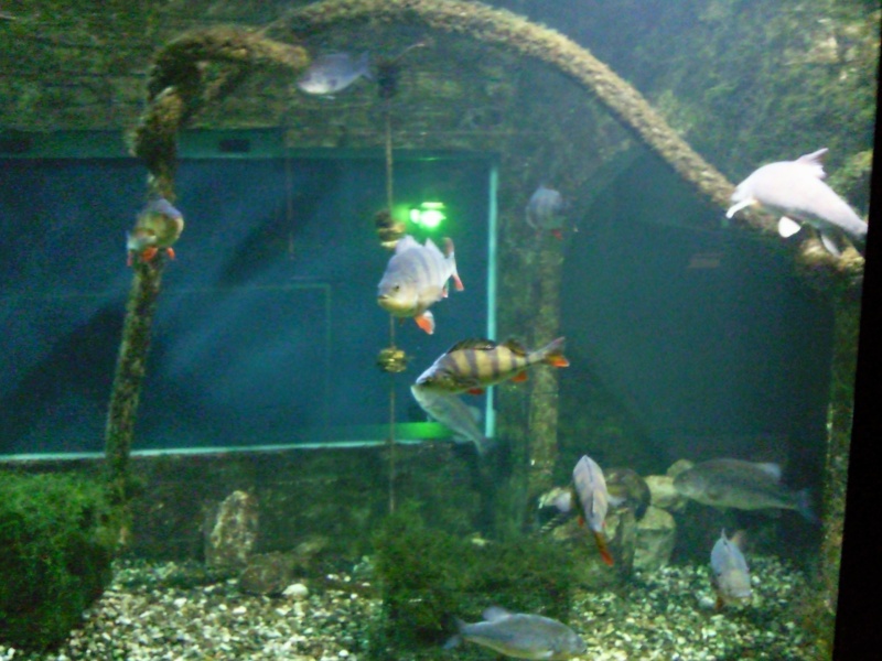 [Visite] Aquarium du grand Lyon Photo017