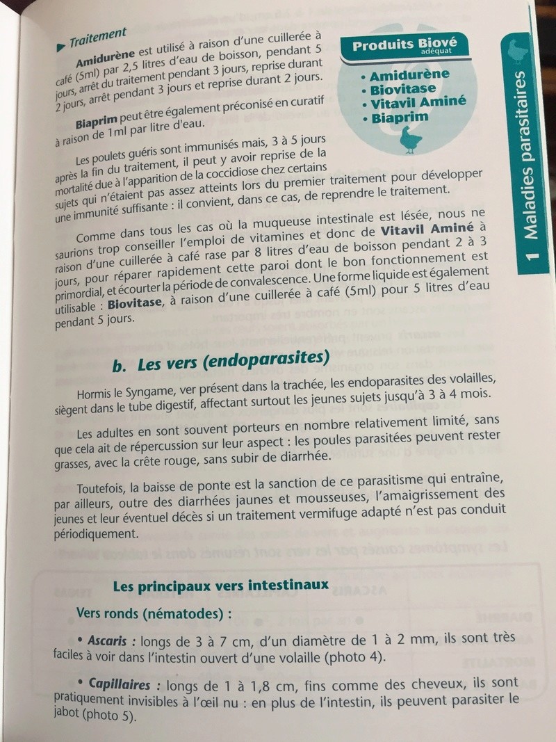 Guide volaille des laboratoires biove  412a6510