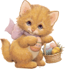 Joyeux Anniversaire Chaton Gif Joyeux Anniversaire Chaton Gif