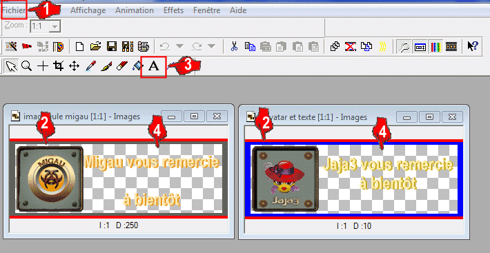 Image