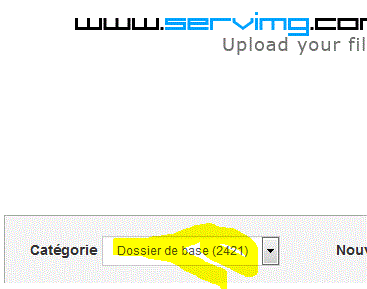 Rapatrier les images de l'hébergeur HostingPics chez ServImg Servin10