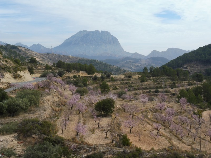 [ESPAGNE] Claude91 en Espagne 2018 - Page 4 P1050020