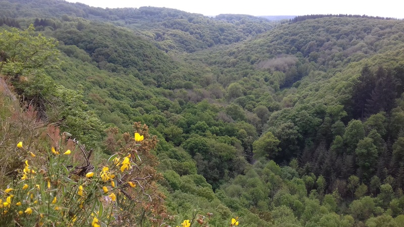 Rando de 100 kms en haute montagne normande Rando_17