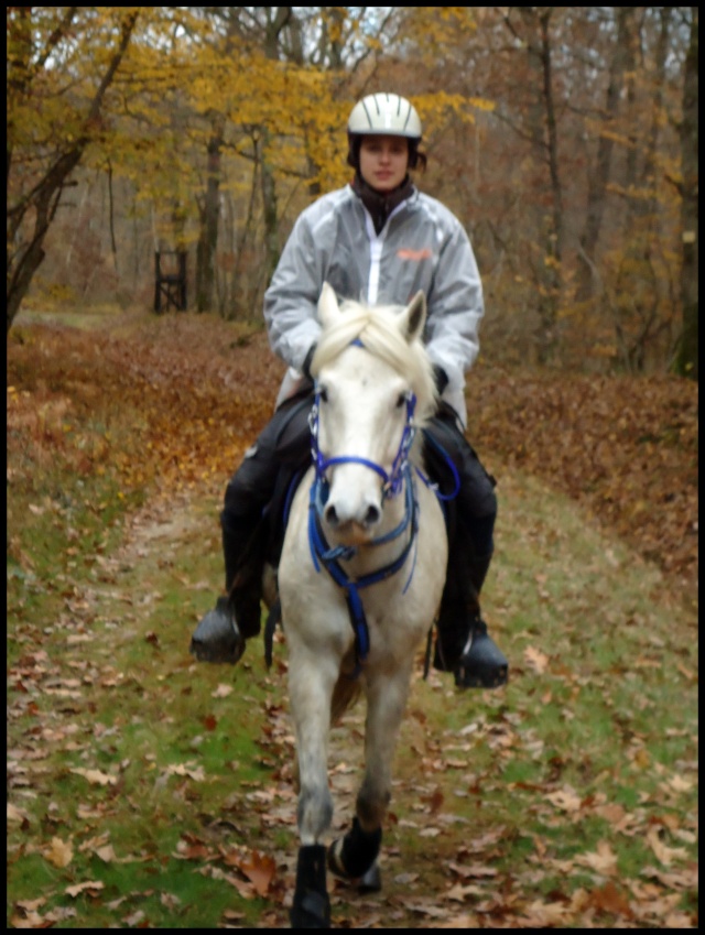 ma première sortie avec mon premier cheval! La_fer19