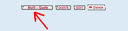 How to use Multi-quote buttons 2323210