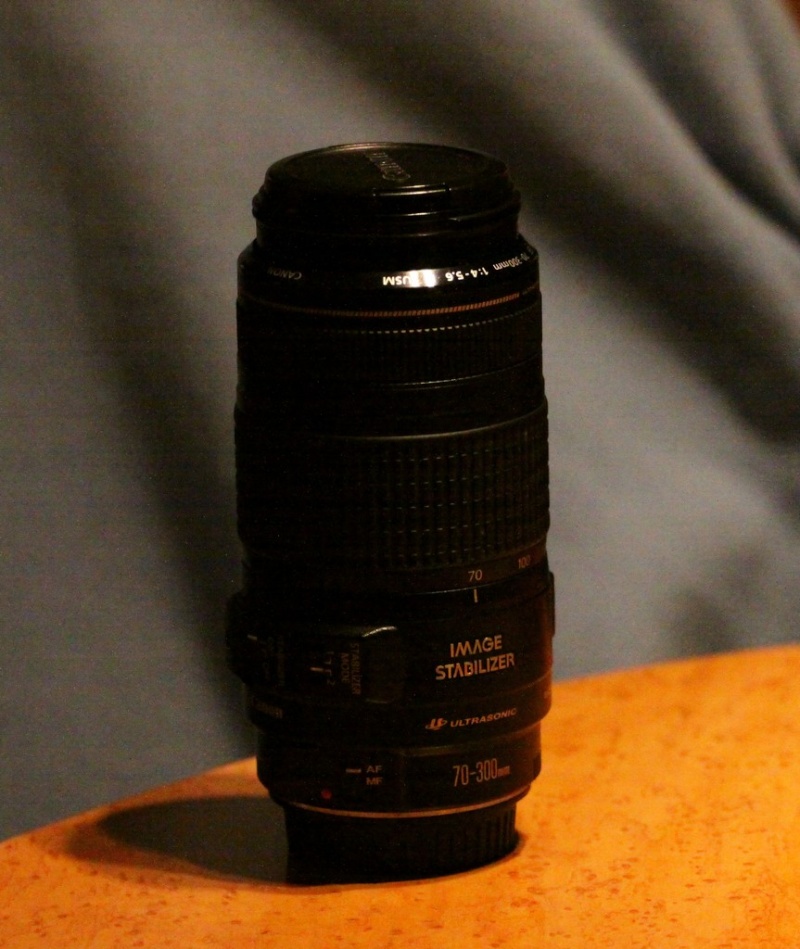 a vendre  objectif Canon EF 70-300 mm f/4-5,6 IS USM   ( VENDU ) Optiqu13