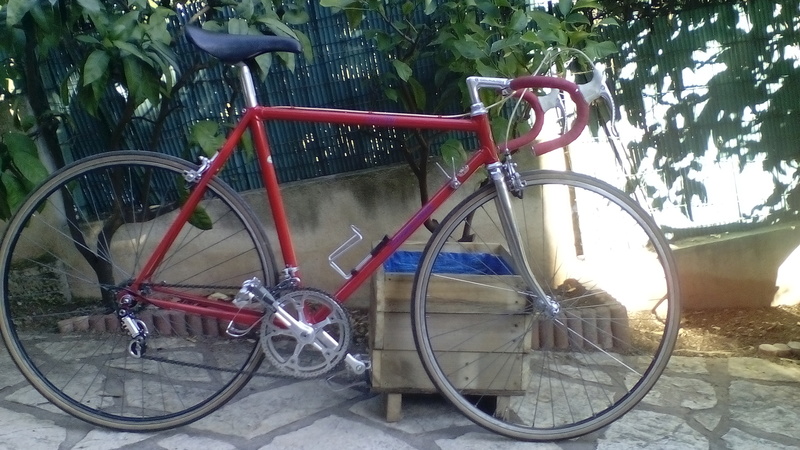 Cutaia Vitus-980 Campagnolo ('80) Img_2012