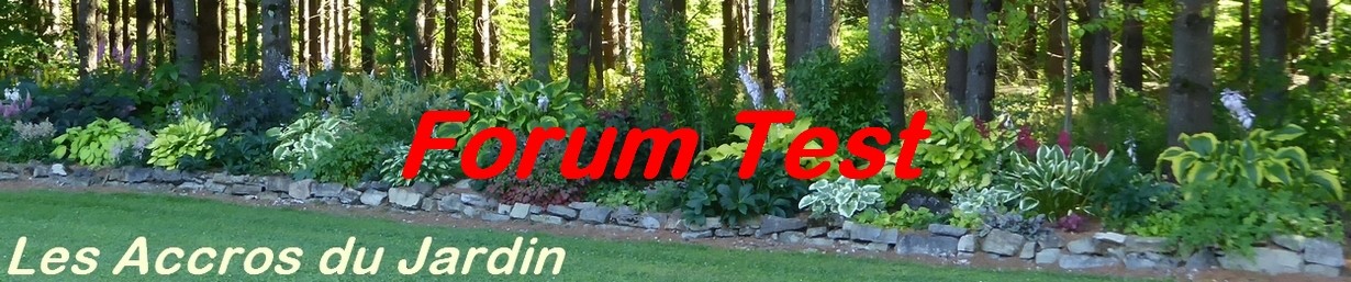 Les Accros du Jardin