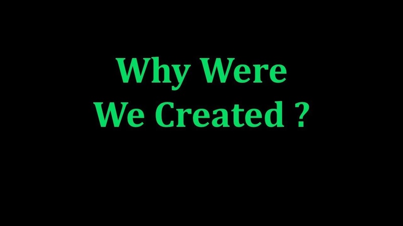 Why were we Created? 8f4c4010
