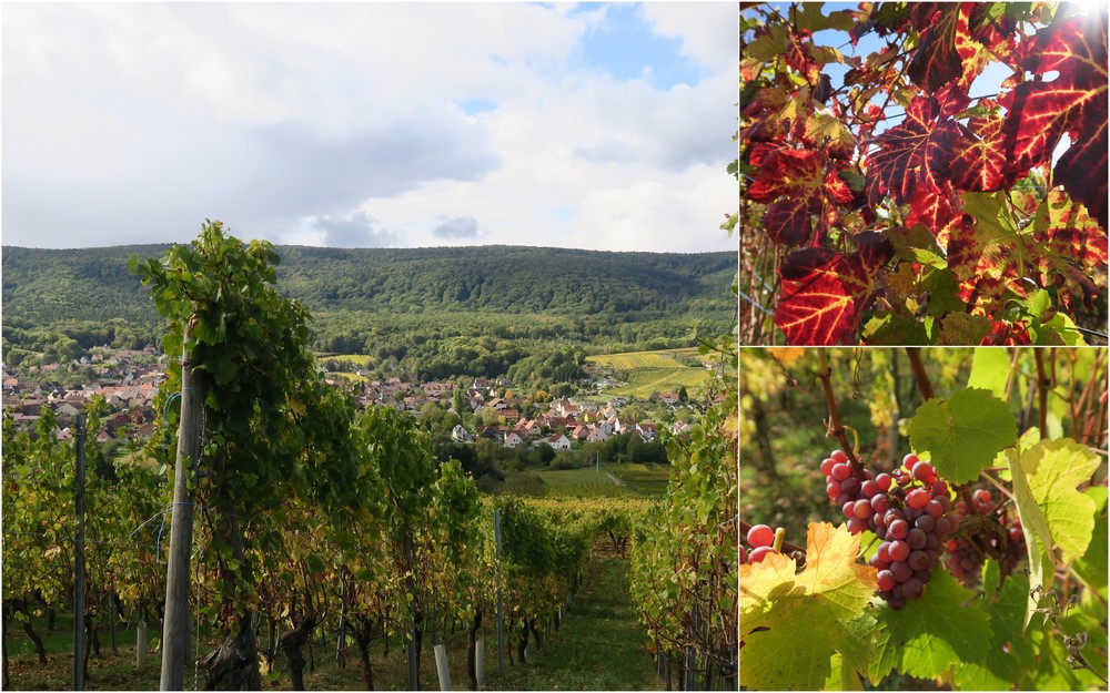L'automne en Alsace 14_10