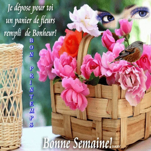 Bonjour, bonsoir..... - Page 38 10597810
