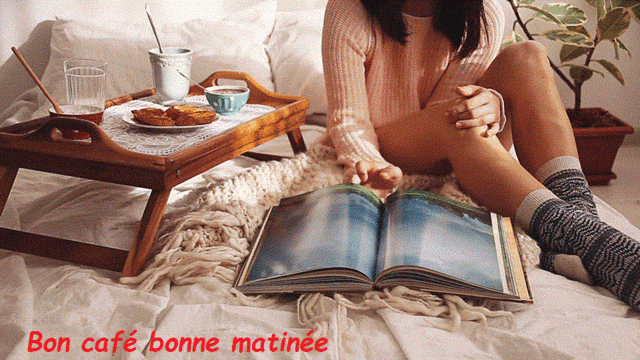 Bonjour, bonsoir..... - Page 37 10789610