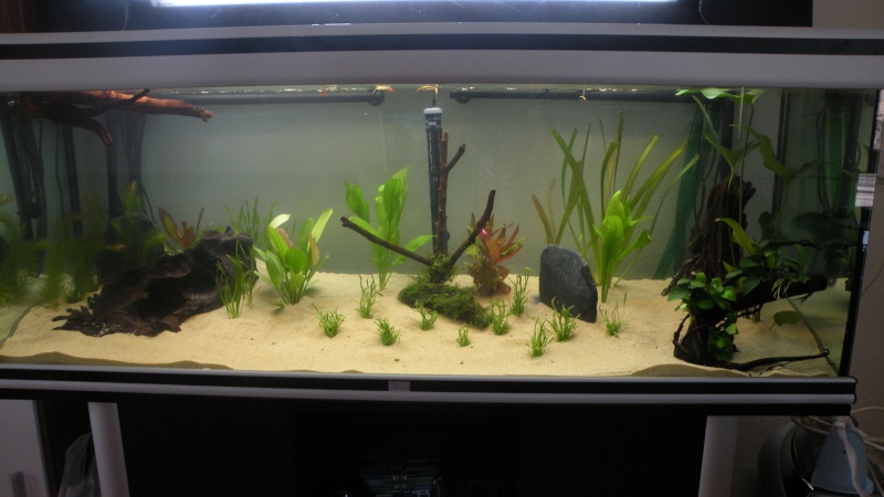 Mon nouveau aquatlantis ambience New111