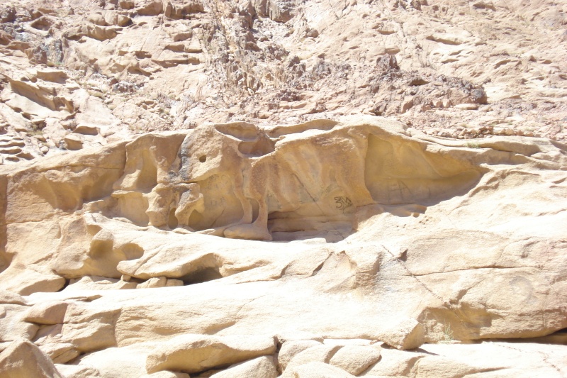 صور رحلة جنوب سيناء بالقسم Dsc01511