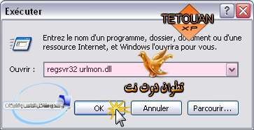 حل مشكلة عدم فتح أي موقع بسبب الصفحة البيضاء في internet explorer 311