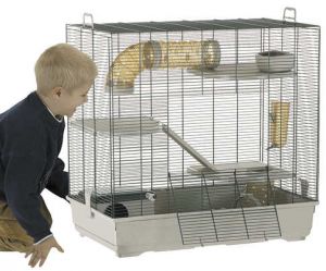 Cages Exempl10