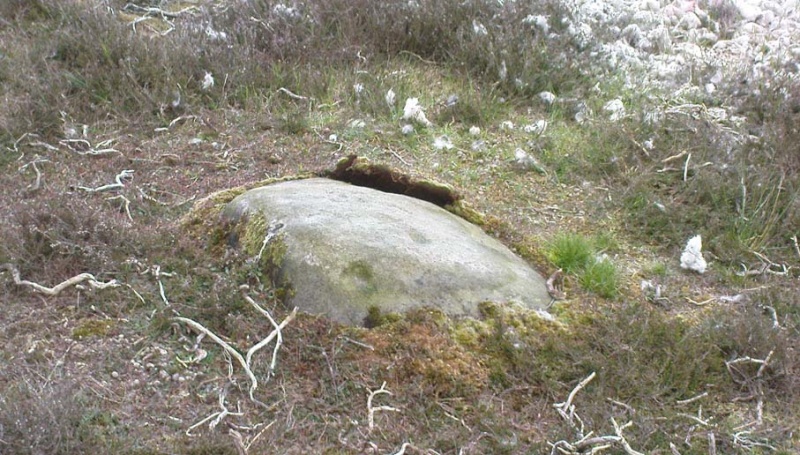 More cup-marked stones Stoup_10