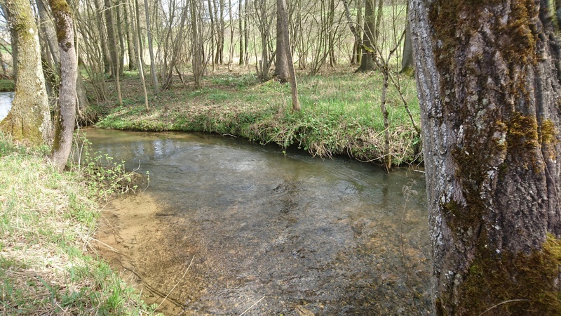 Petite rivière de campagne E76fa010