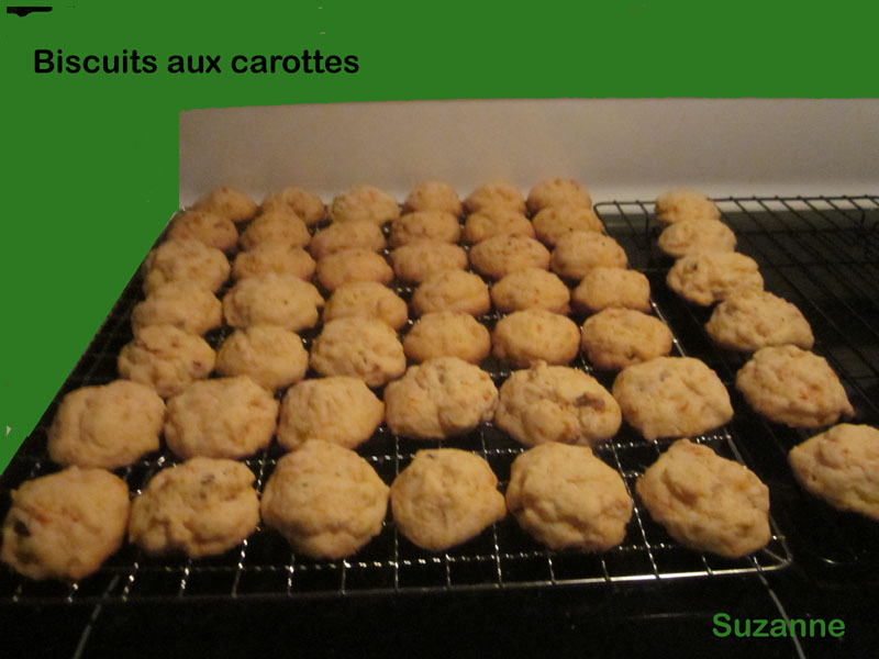 Biscuits aux carottes Ibiscu10