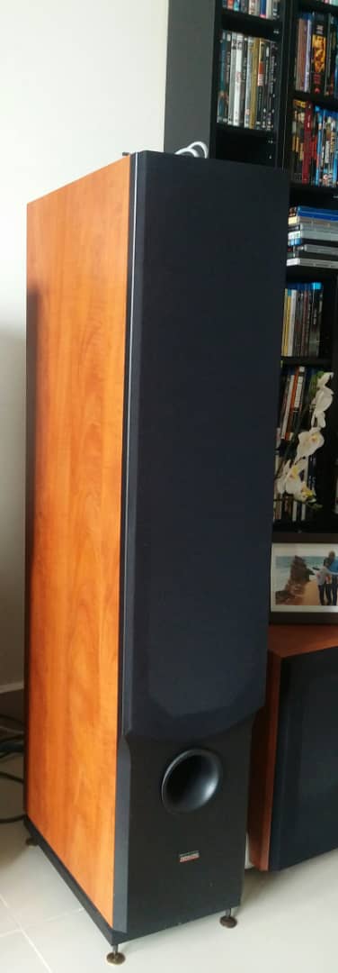 Rare: Dynaudio Audience 82 Floor-Standing Speakers Dyna410