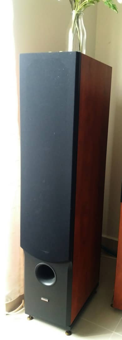 Dynaudio Audience 82 Floor-Standing Speakers Dyna510