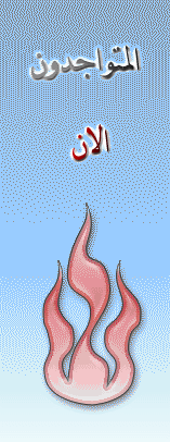 المتواجدون الآن ؟