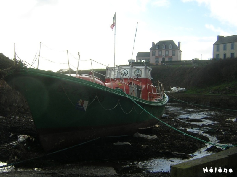 Au fond du Port. _1511