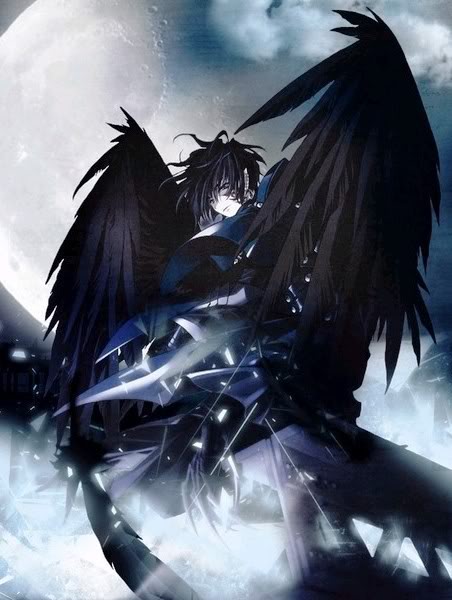 perfil de angeles caidos Anime210