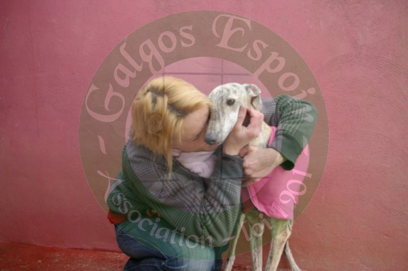 Une association pour sauver les chien d'Espagne ! - Page 3 5eme_j10