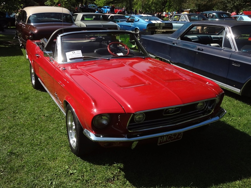 Photo de Mustang 1968 par "Le chat caméra" Fdmvh_20