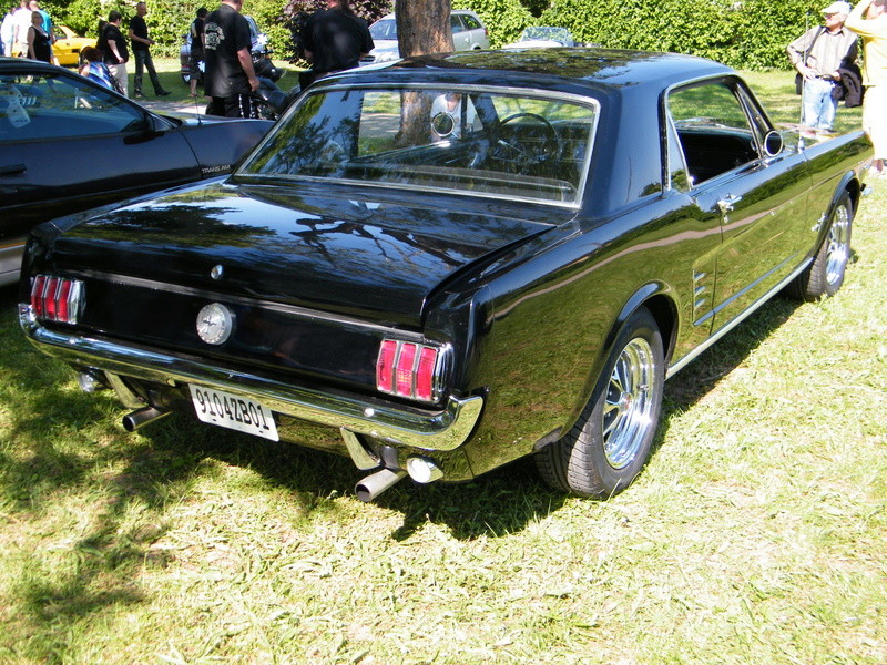 les Mustangs 66 dans diverses expos en France Dscf1321