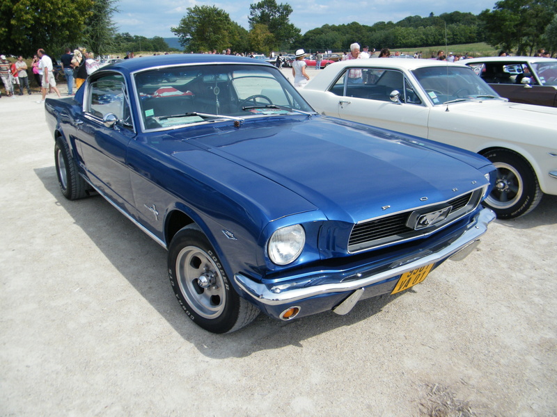 les Mustangs 66 dans diverses expos en France Dscf2513