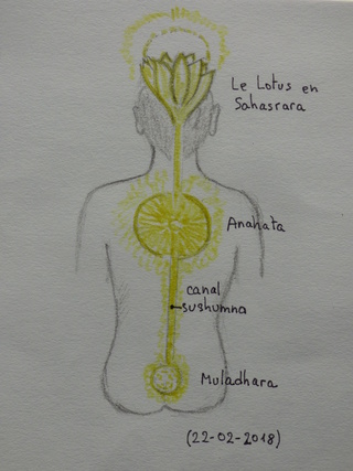 Chakra du coeur, atome christique, point dans le coeur et coeur alchimique. - Page 5 P1020116