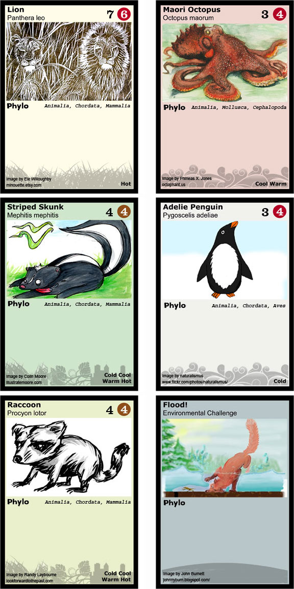 Card Mock Ups (mainly due to WIRED piece deadline which is monday morning BTW!) Phylom10