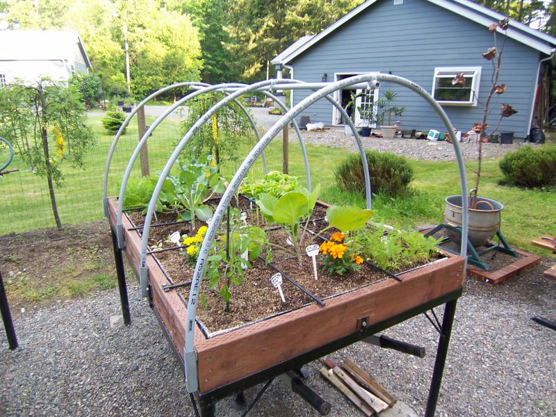Covered Wagon for 3x3 & 3x6 100_2228