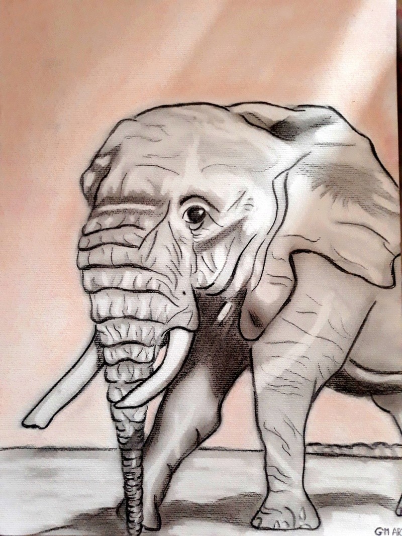 portrait marilyn monroe et dessin elephant crayon noir  20180311