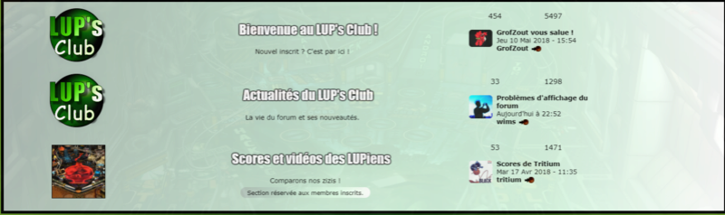 Problèmes d'affichage du forum - Page 3 Bug_fo10