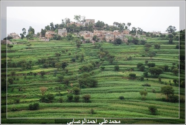 صور طبيعية من اليمن 33_11210