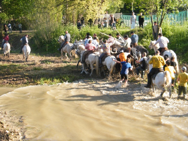 Mudaison le 18 04 2010  17h Toros200